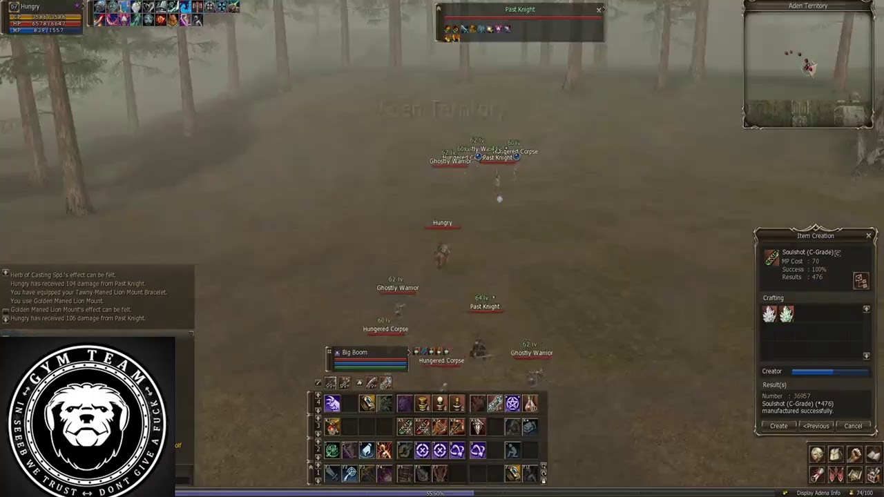 L2 E-Global IL Final Warsmith aoe Big Boom Ancient Battleground -  https://l2e-global.com