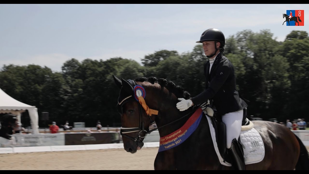 Reitpferde-Championat der 3-jährigen Hengste