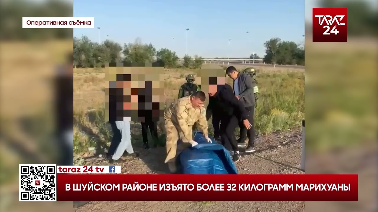 В ШУЙСКОМ РАЙОНЕ ИЗЪЯТО БОЛЕЕ 32 КИЛОГРАММ МАРИХУАНЫ