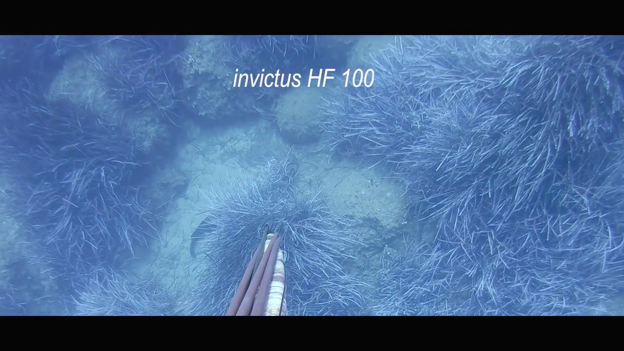 Speargun Omer Invictus HF