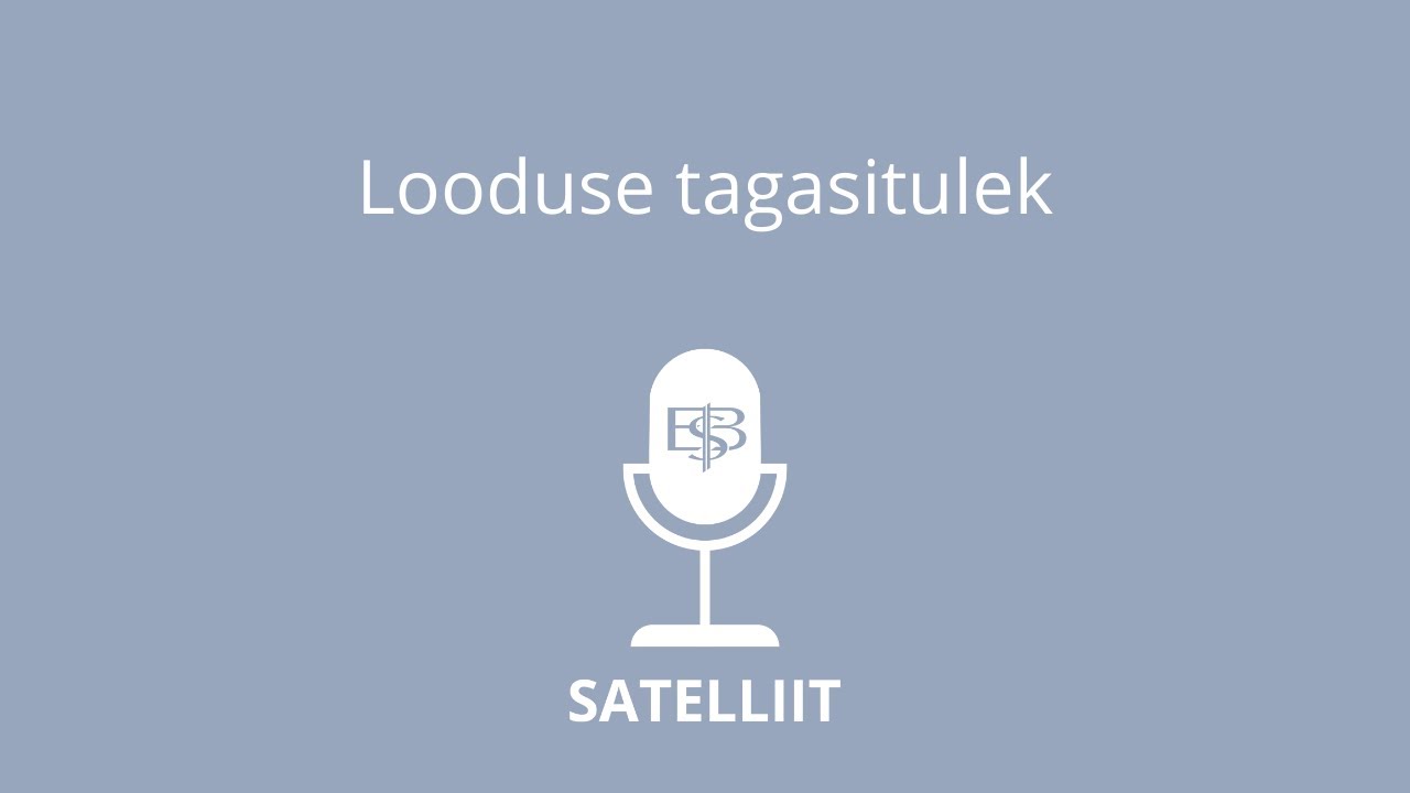 Satelliit #3: Hardo Pajula ja Henri Laupmaa: 