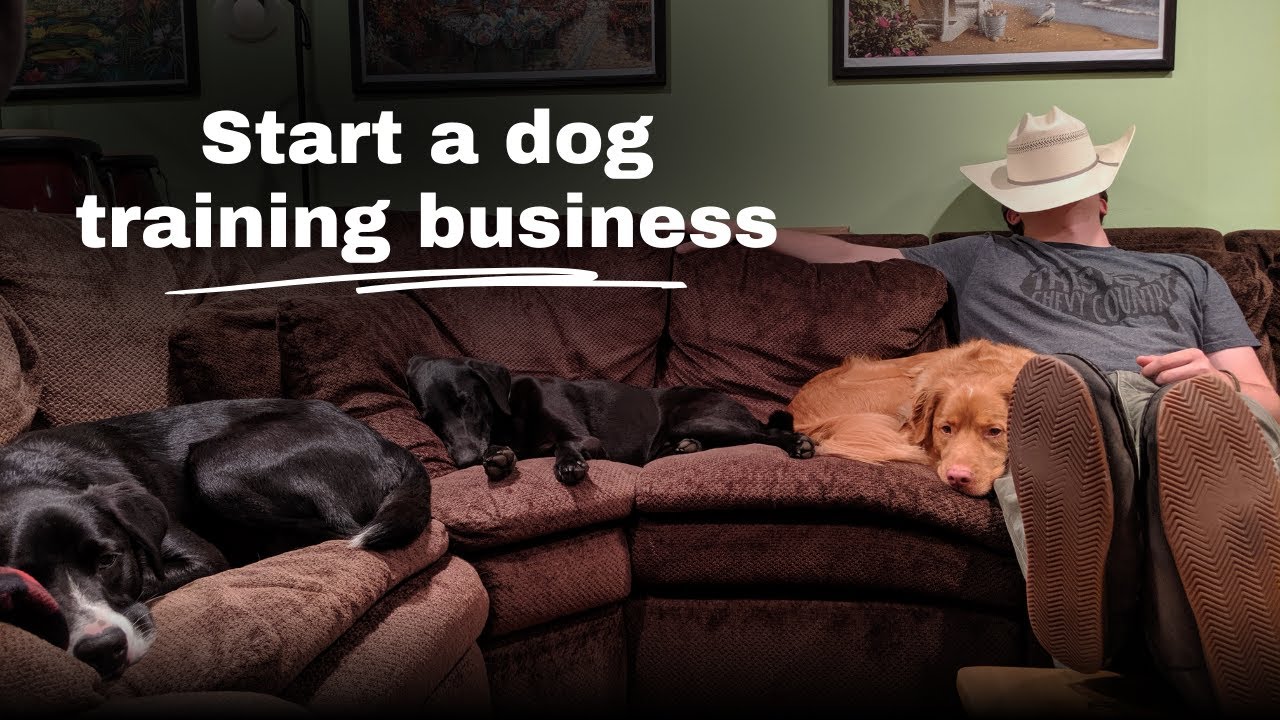 Start a Dog Training Business With The Fridge Method