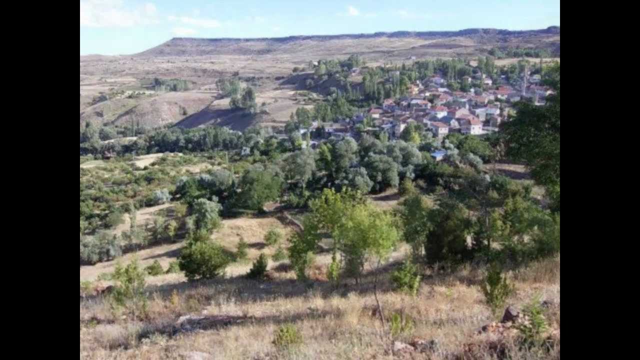 AMARAT