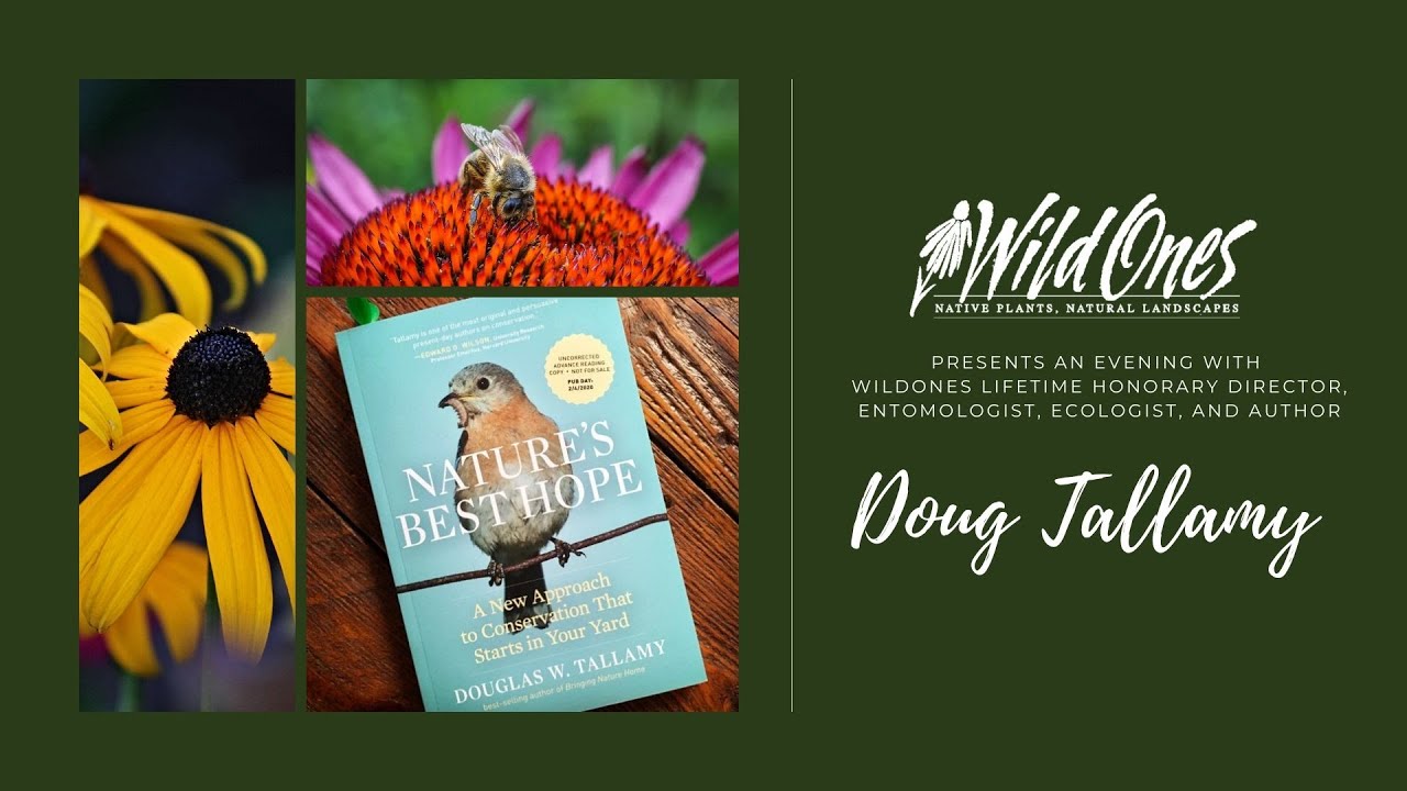 Wild Ones Presents 