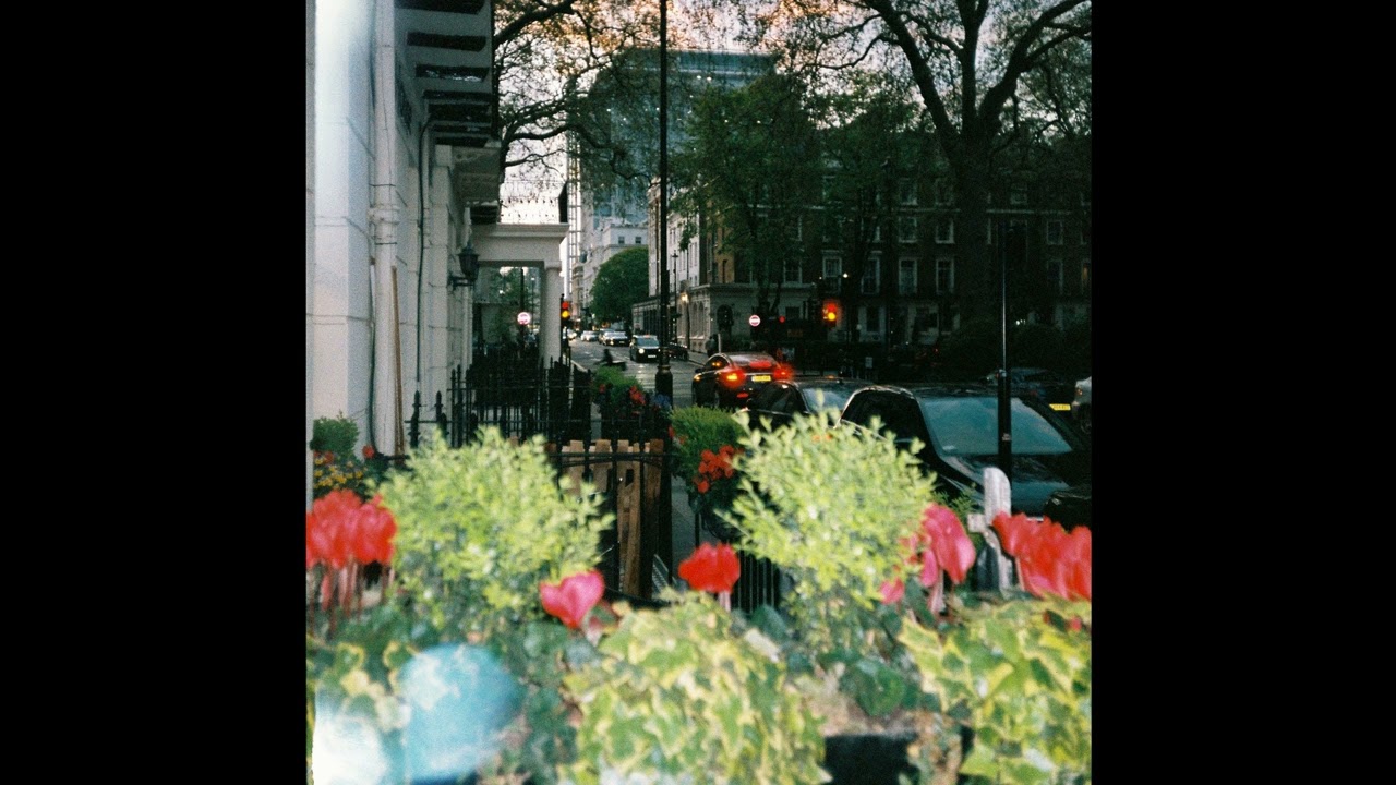 Hause Plants - Watering A Flower