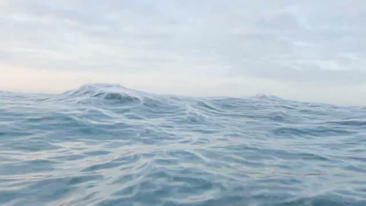 Gracilineustes Toy   Animation Test