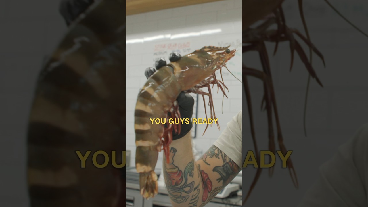 9 INCH TIGER PRAWN