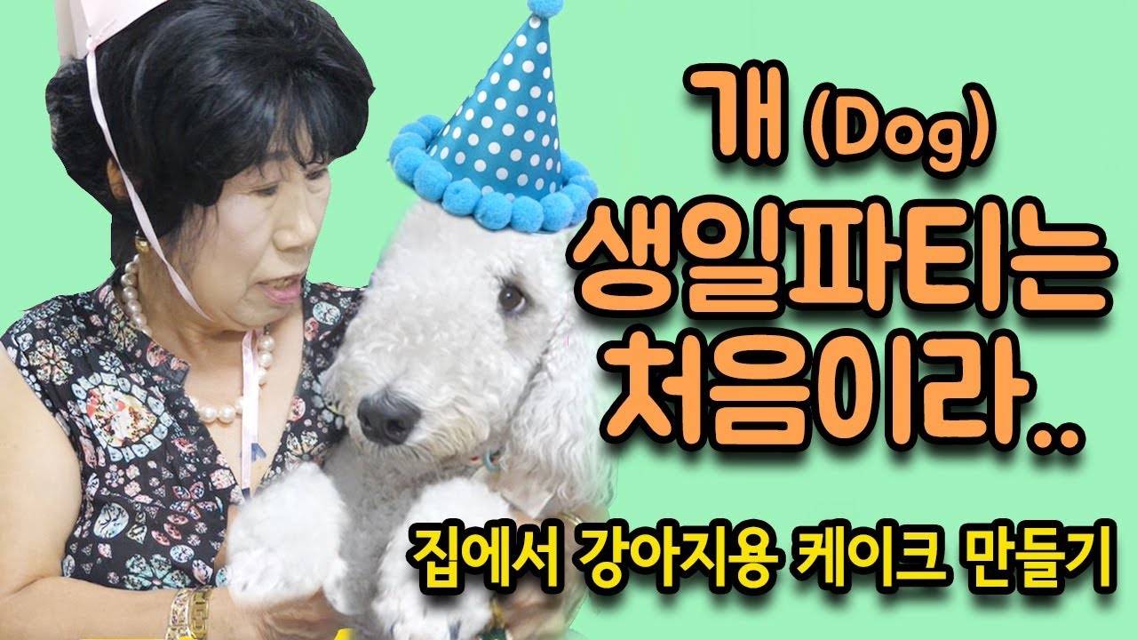 (Eng)앙리 생일파티에 초대된 막례  [박막례 할머니]