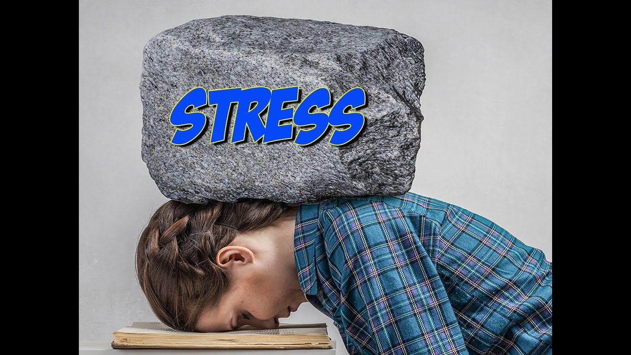 Stress