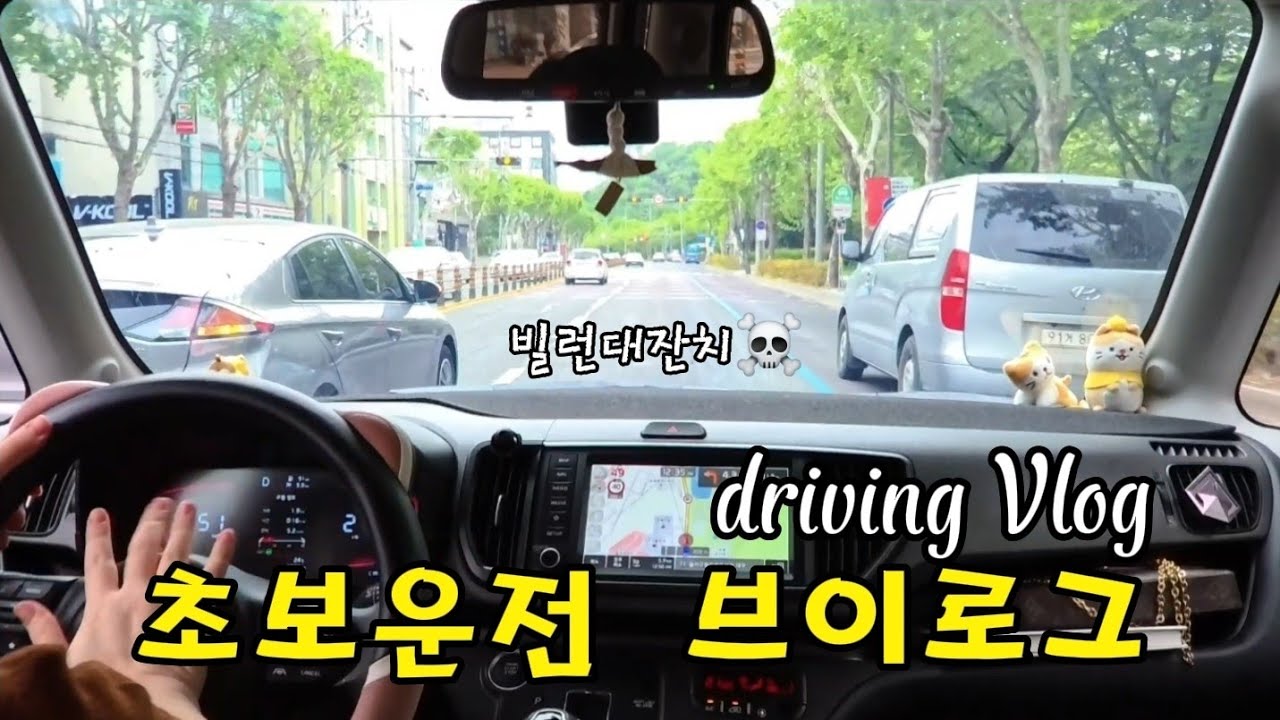 레이 초보운전 브이로그 | 도로위에 빌런들💦 | 쫄보의 외출✨️