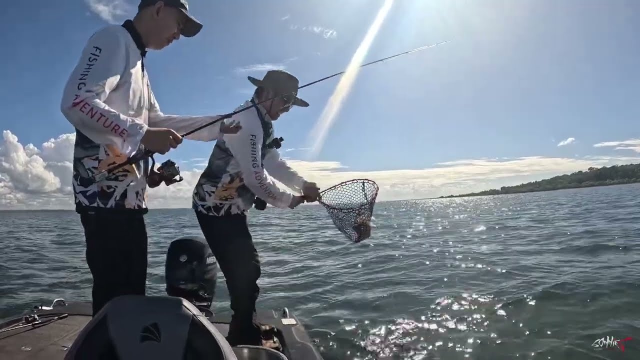 Squid Mission - Moreton Bay