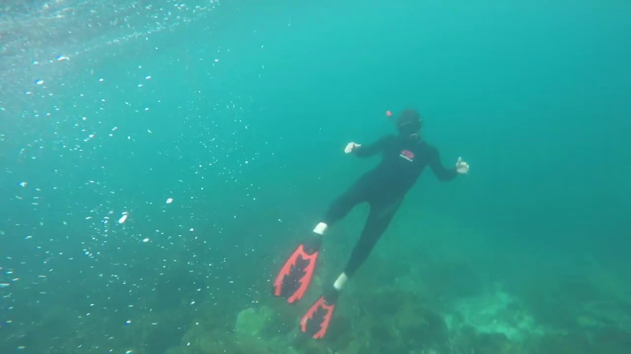 Snorkel Life Demo Reel