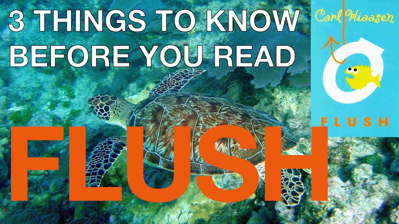 3 Things to Know Before You Read Flush - Conley's Cool ESL