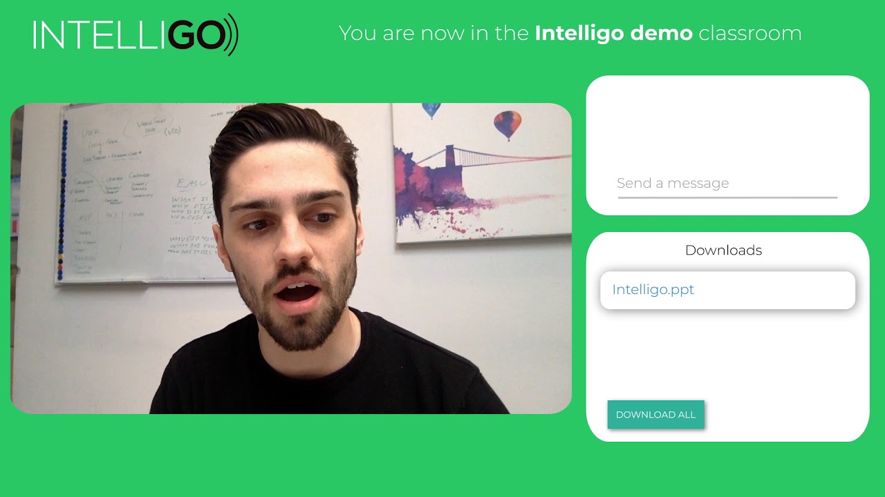 Intelligo - what is it?