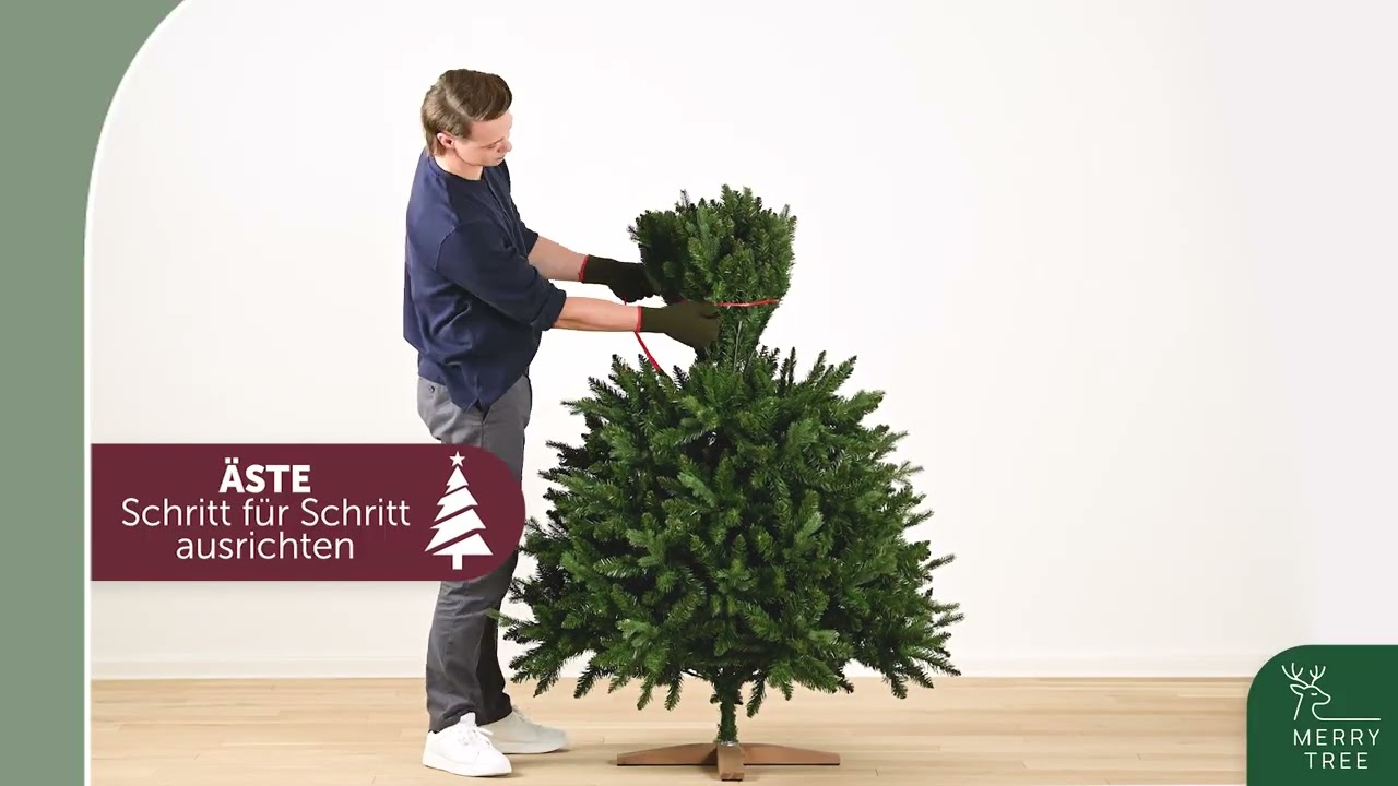 Weihnachtsbaum Saellskap