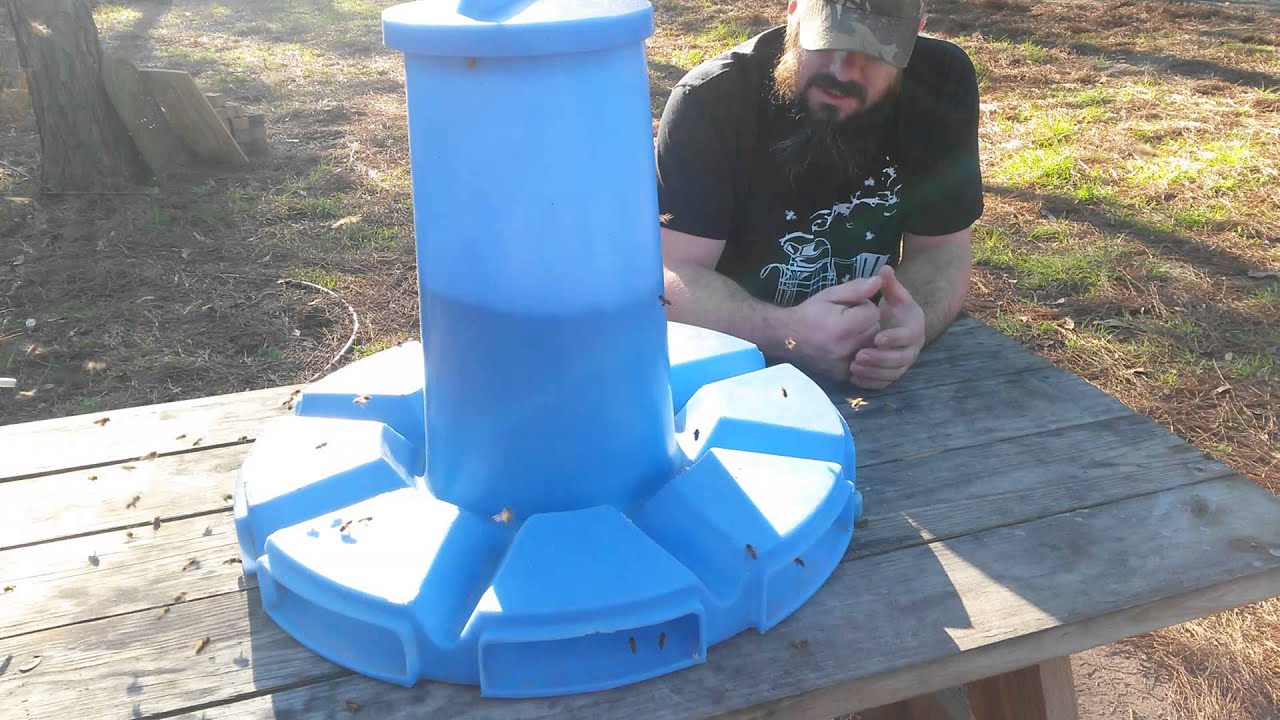 Pollen Sub Feeder 24 Hours After Filling With BeePro