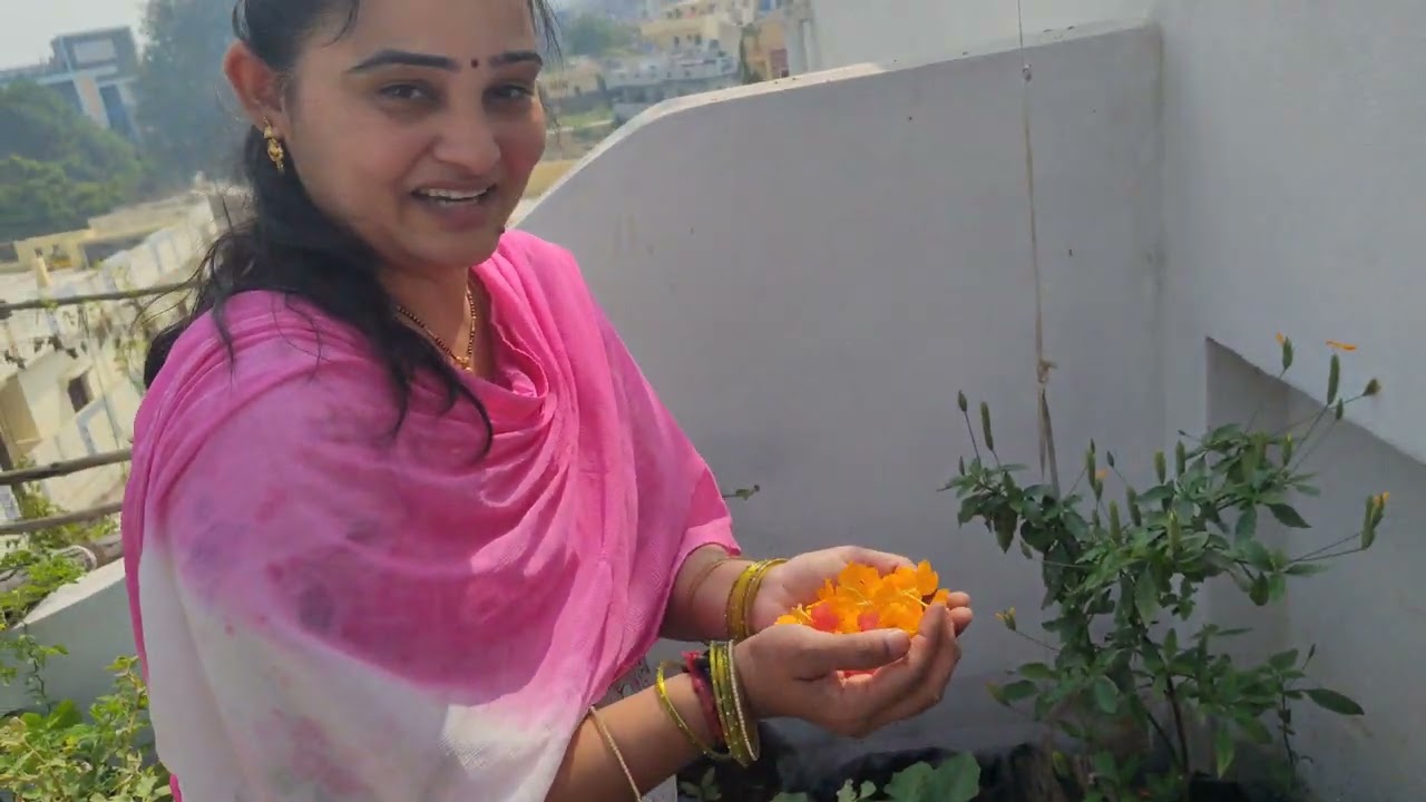 Beautiful Flowers in my terrace garden 