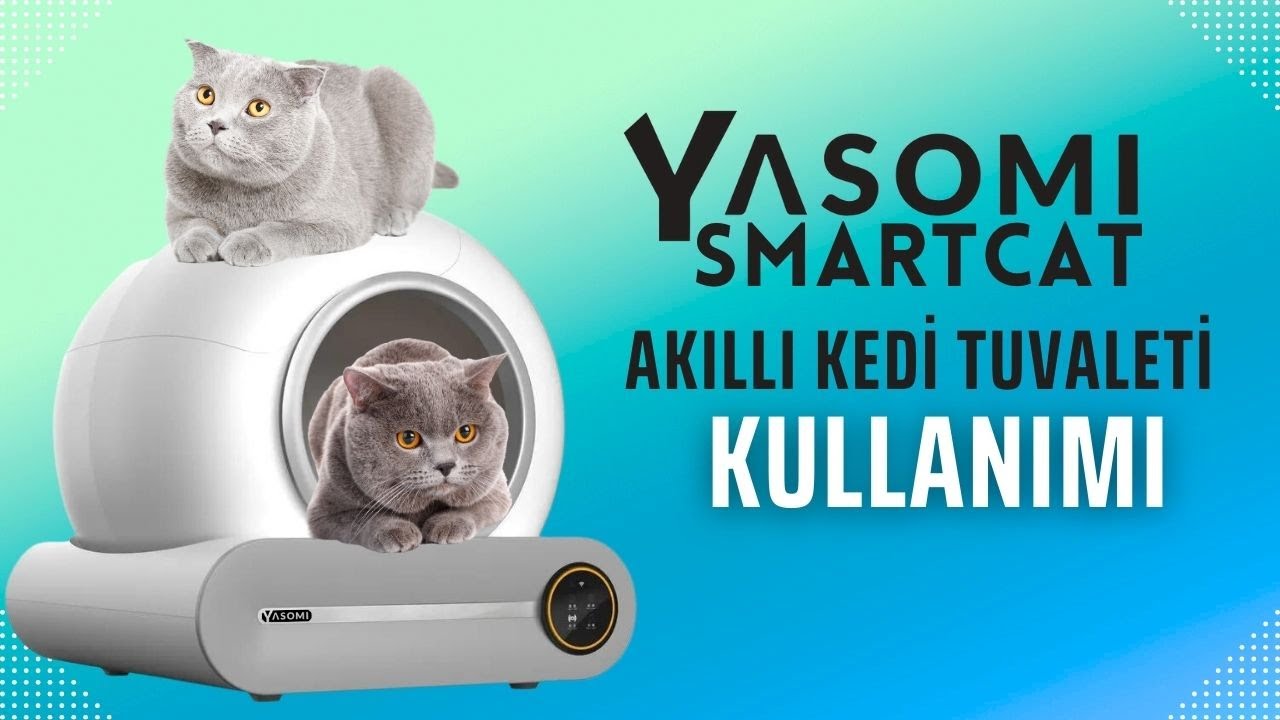 Yasomi Smartcat Akıllı Kedi Tuvaleti Kullanımı #yasomi #petshop
