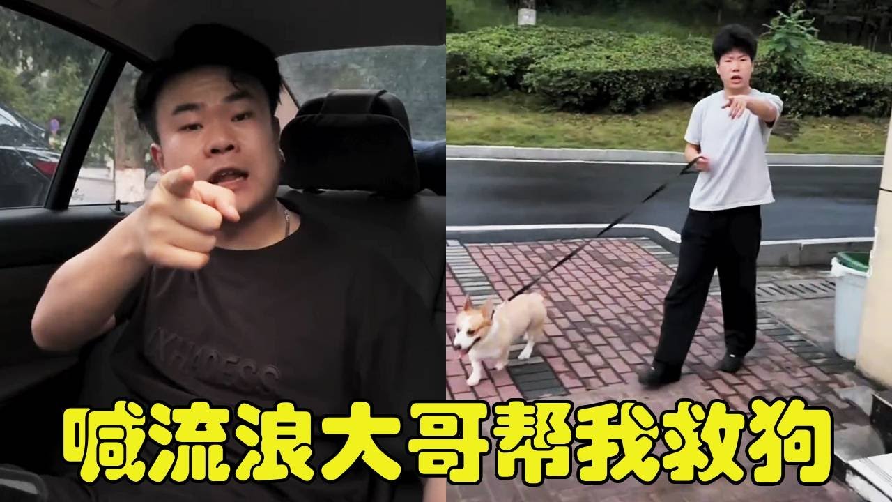 小狗被抢走的第N天！喊我流浪大哥来帮我救狗，没想到我大哥这么猛！【勋勋】