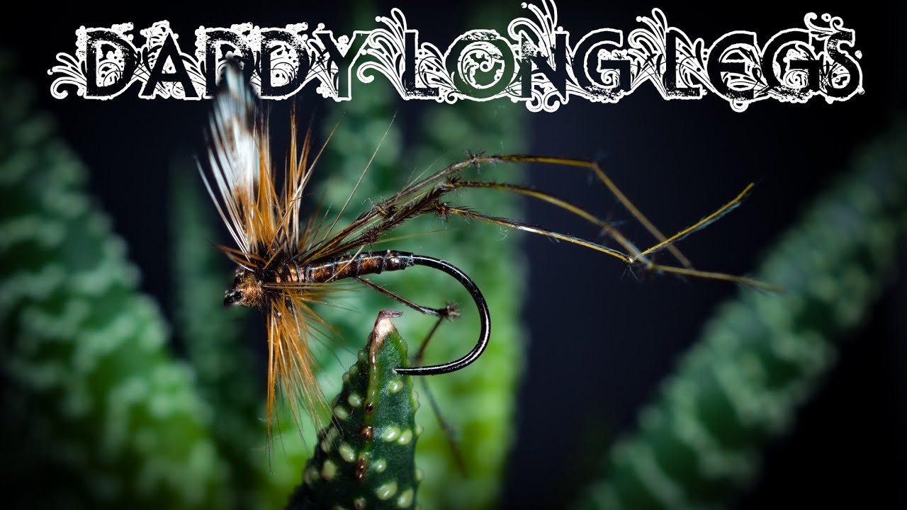 Daddy Long Legs - Fly tying with G.Zingaro (4K Video)