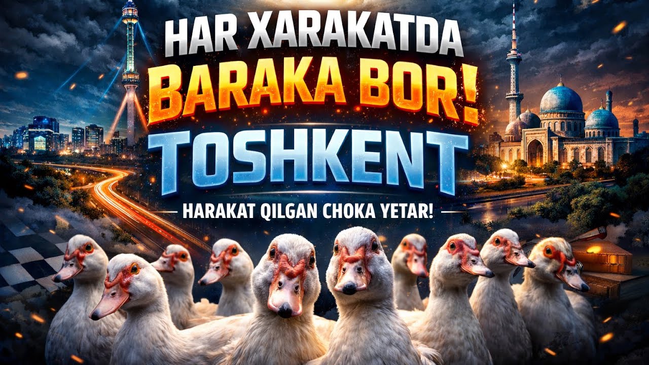 INDAUTKA BIZNESI 