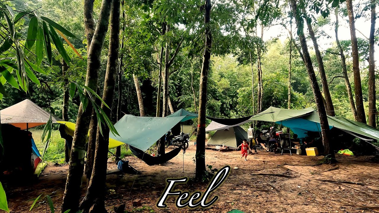 Cắm Trại Cùng Gia Đình Có Gì Vui ? Xin Mời Cảm Nhận ! Ong Rừng Camping Núi Dinh 2025