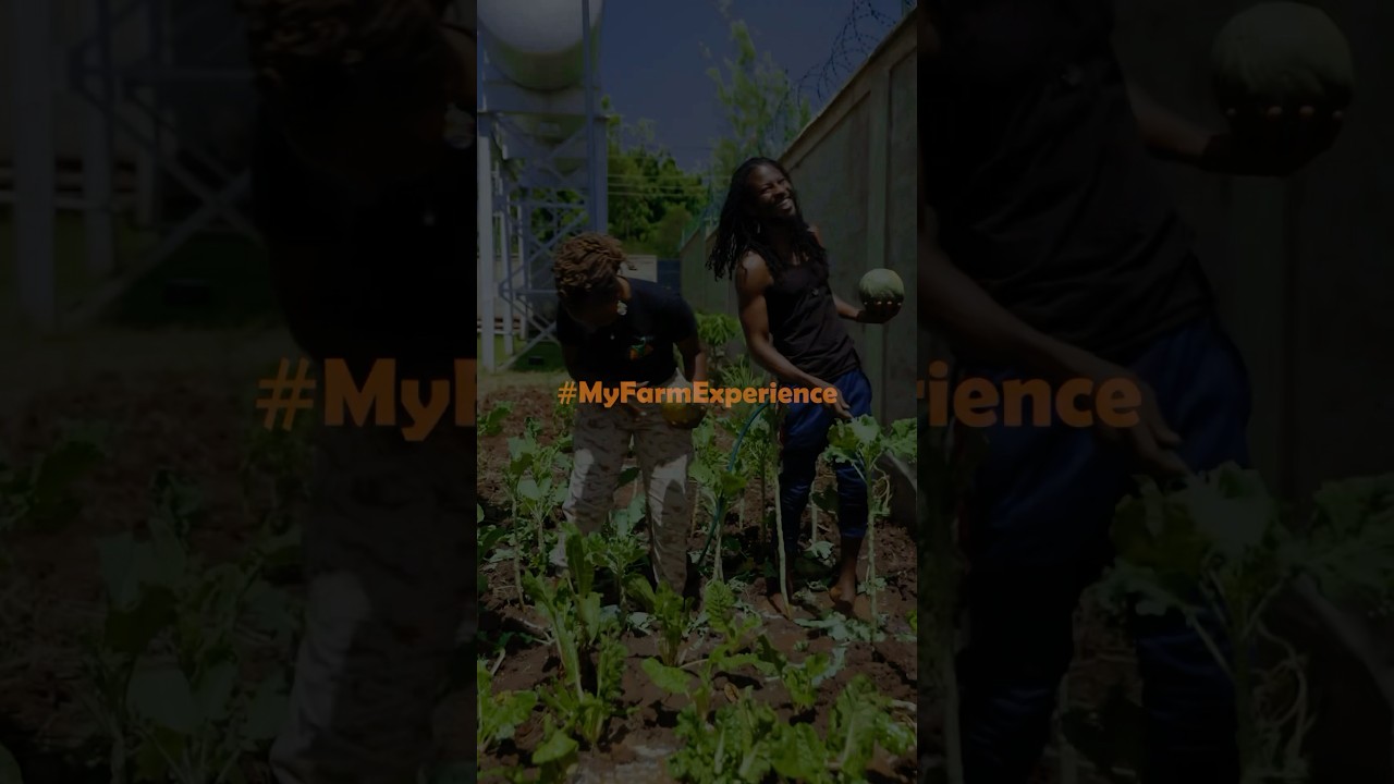Growing your own food helps with healthy eating & seed saving techniques. 