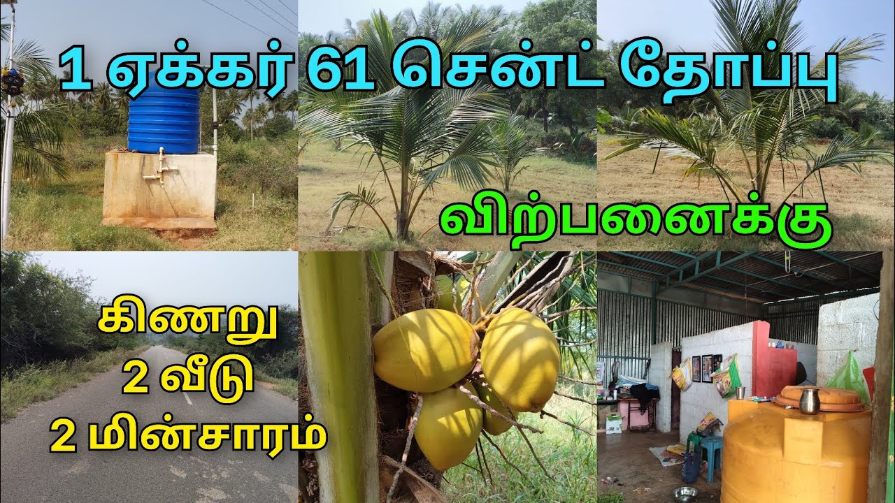 9600525601 திண்டுக்கல் மாவட்டம் தெவதான பட்டி அருகில் தென்னை தோப்பு விற்பனைக்கு உள்ளது