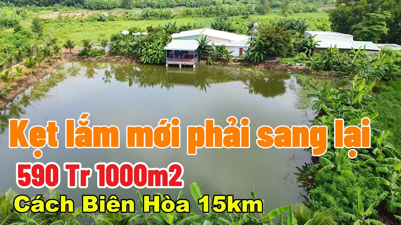 Về Bắc ở ẩn nên sang lại toàn bộ nhà vườn ao cá 17000m2 Vĩnh Cửu Đồng Nai