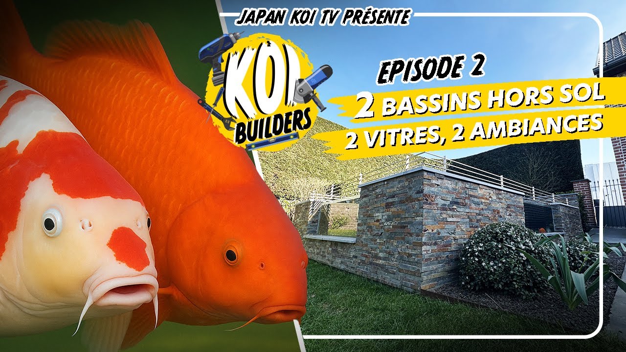 2 bassins hors sol, 2 vitres, 2 ambiances ! • Koi Builders - Episode 2