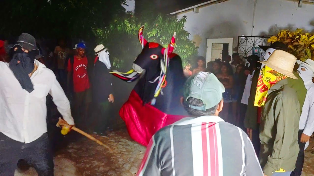 Estreia do Boi Asa Branca: O Show Que Parou a Cidade!