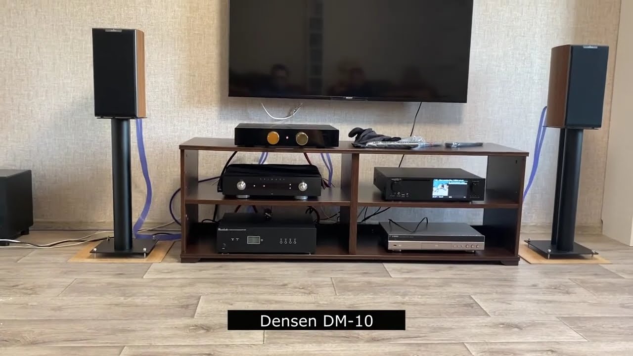 Усилитель Densen DM 10 плюс бонус