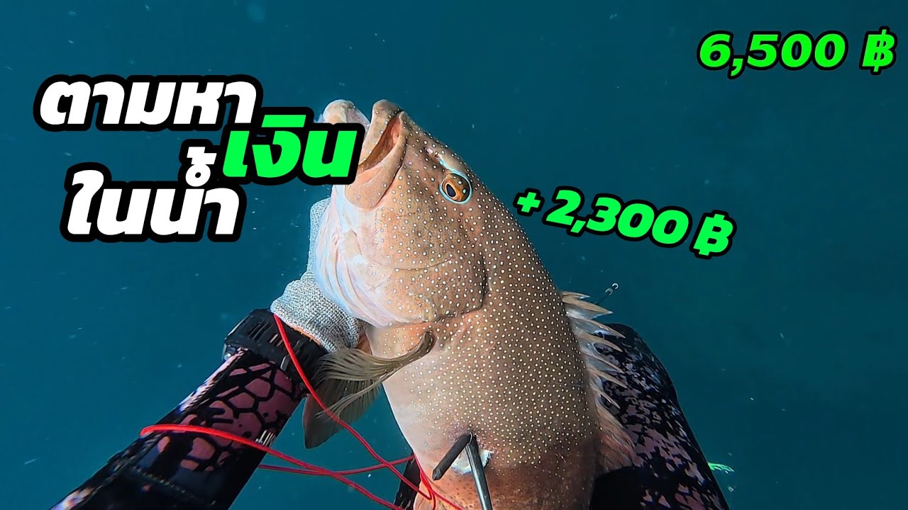 ดำน้ำหาเงิน ทางลัดสู่เส้นทางในต่างโลก