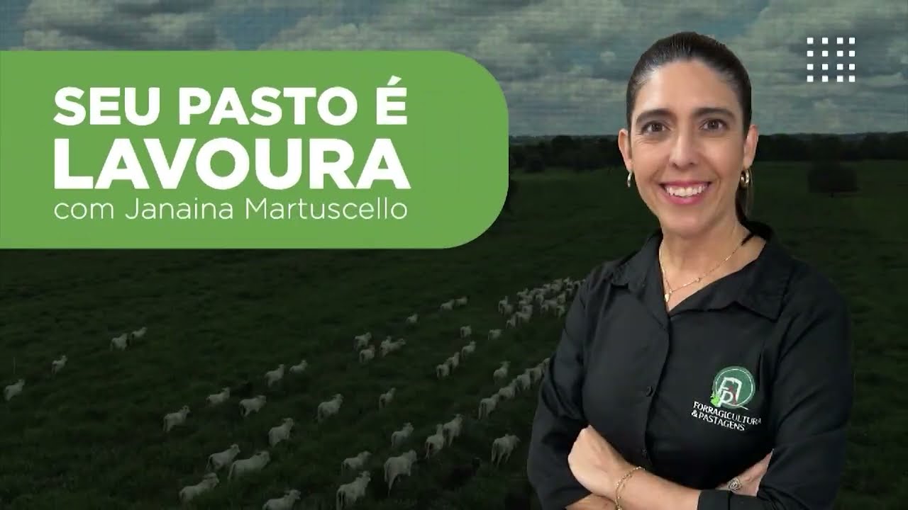 CALAGEM E GESSAGEM DO PASTO: ENTENDA A IMPORT NCIA DELAS PARA O DESENVOLVIMENTO DO CAPIM
