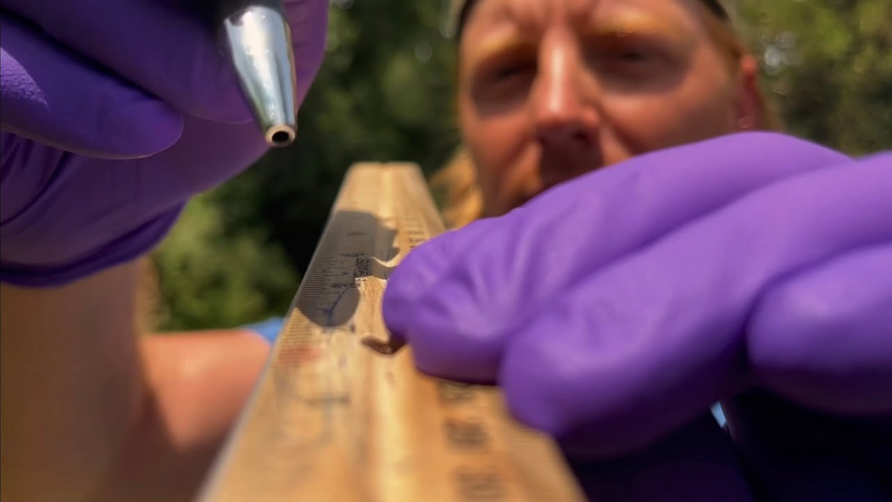 Fast Outdoor ASMR Cranial Nerve Exam