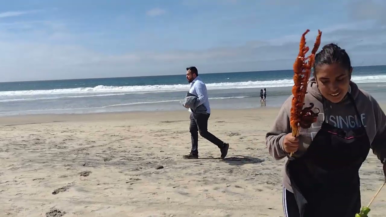 Playas de Tijuana 