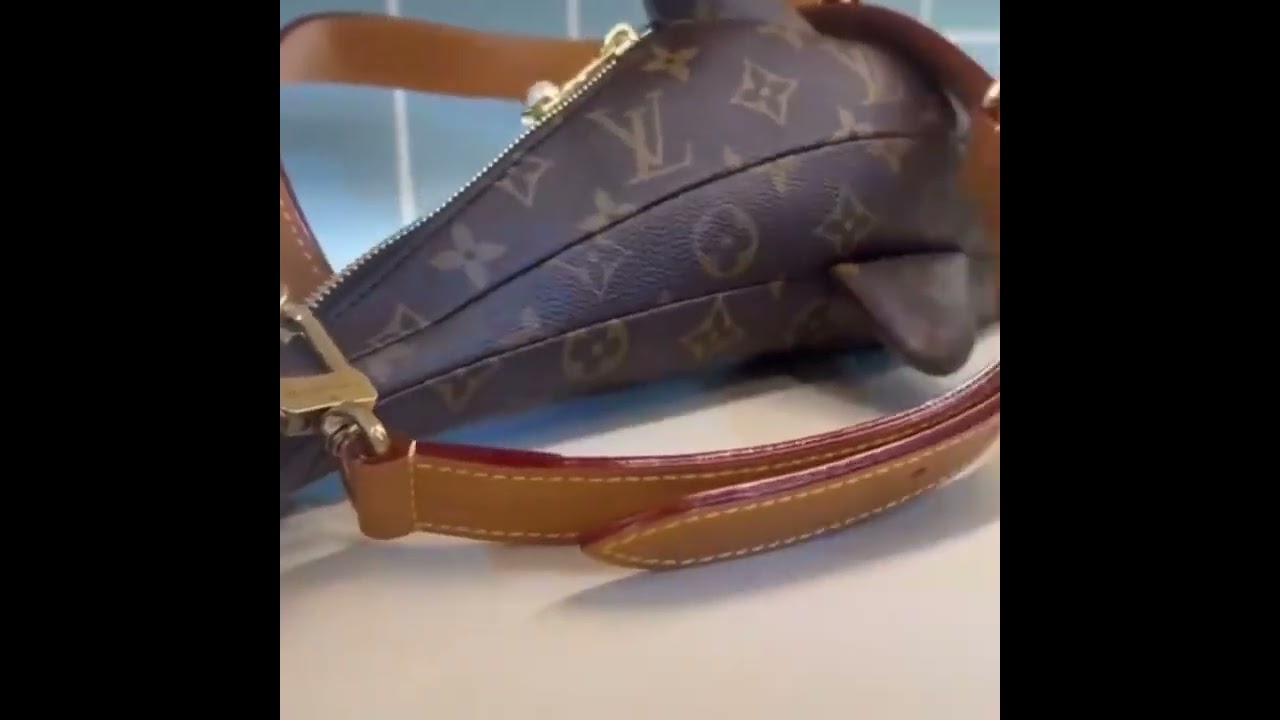 Louis Vuitton x Pharrell Dolphin Bag 🐬 Just Dropped! Collector Piece or Daily Flex? | Reetzy.com