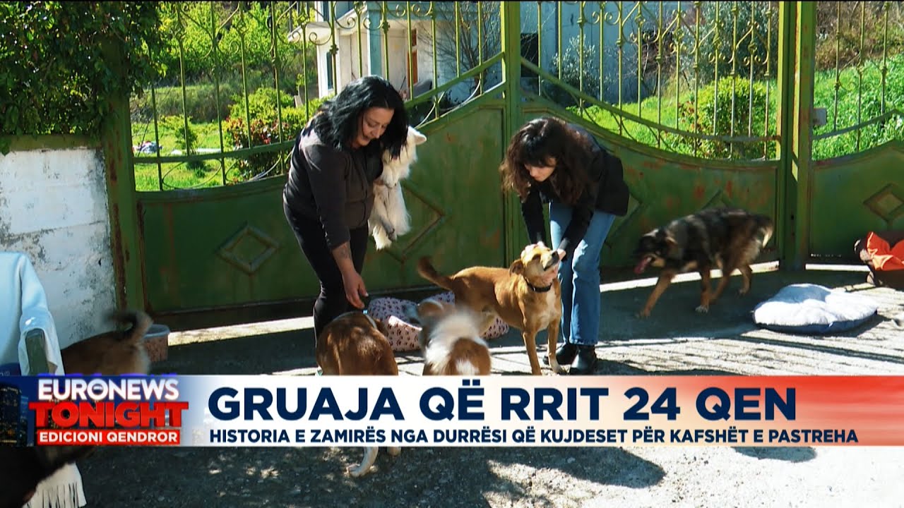 Historia e Zamirës nga Durrësi që kujdeset për 24 qen të pastrehë