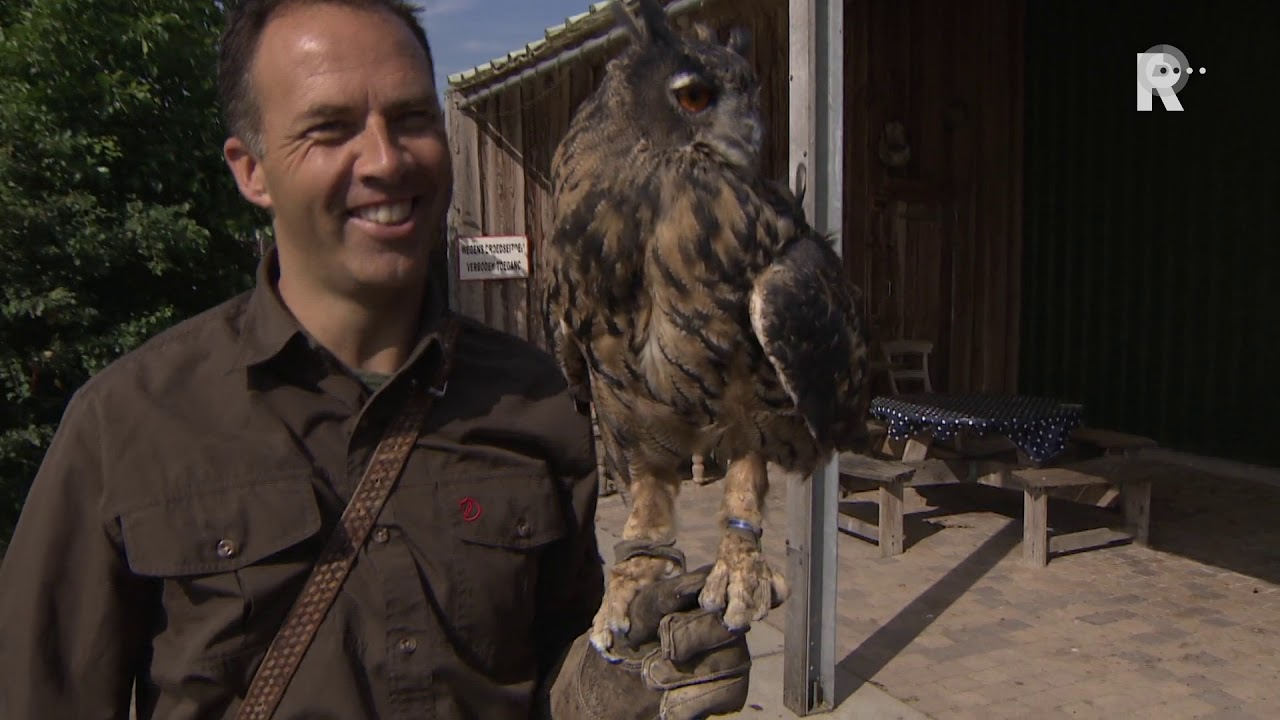 Ben runt roofvogelboerderij in Berkel: 'Je moet er alles voor over hebben'