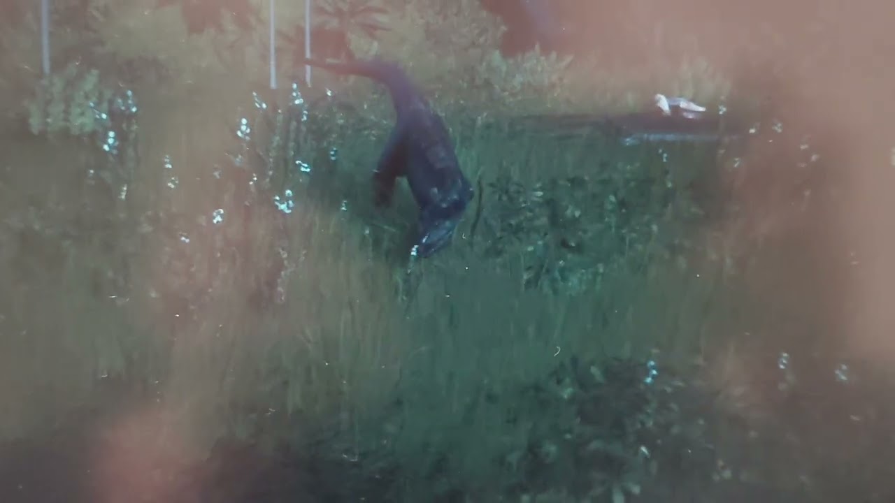 Мій Парк Юрського Періоду Jurassic World Evolution 2