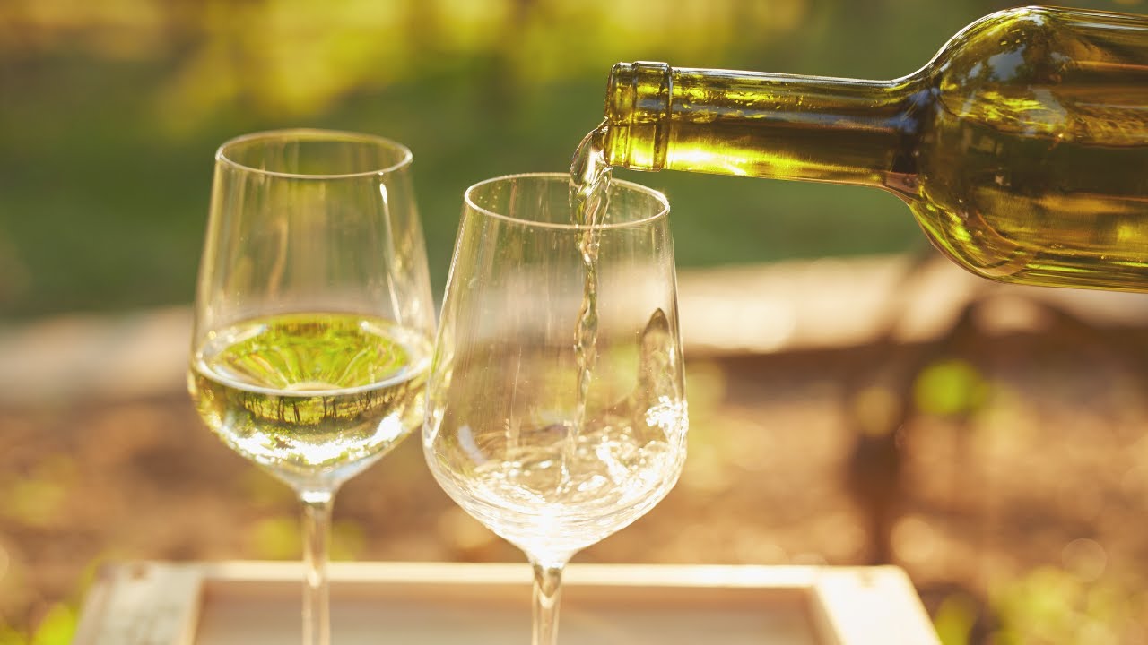 The Best White Wines For Beginners | White Wine Regions | An Easy Guide