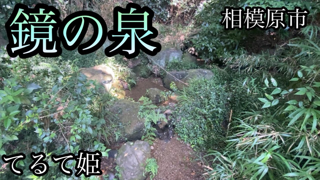 「鏡の泉」を探索！森林をかき分けて湧水をさがします【神奈川県相模原市】