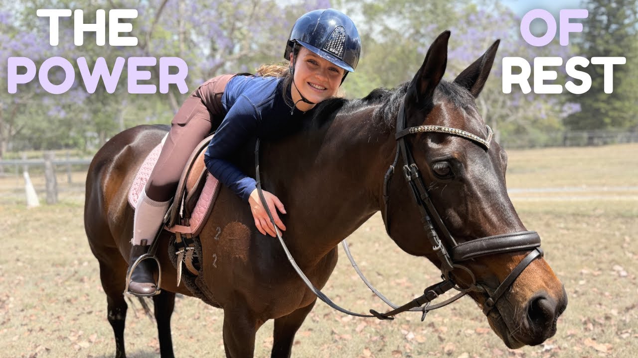 Отдых лошадей изменил всё! Вот почему! | Equestrianemmy
