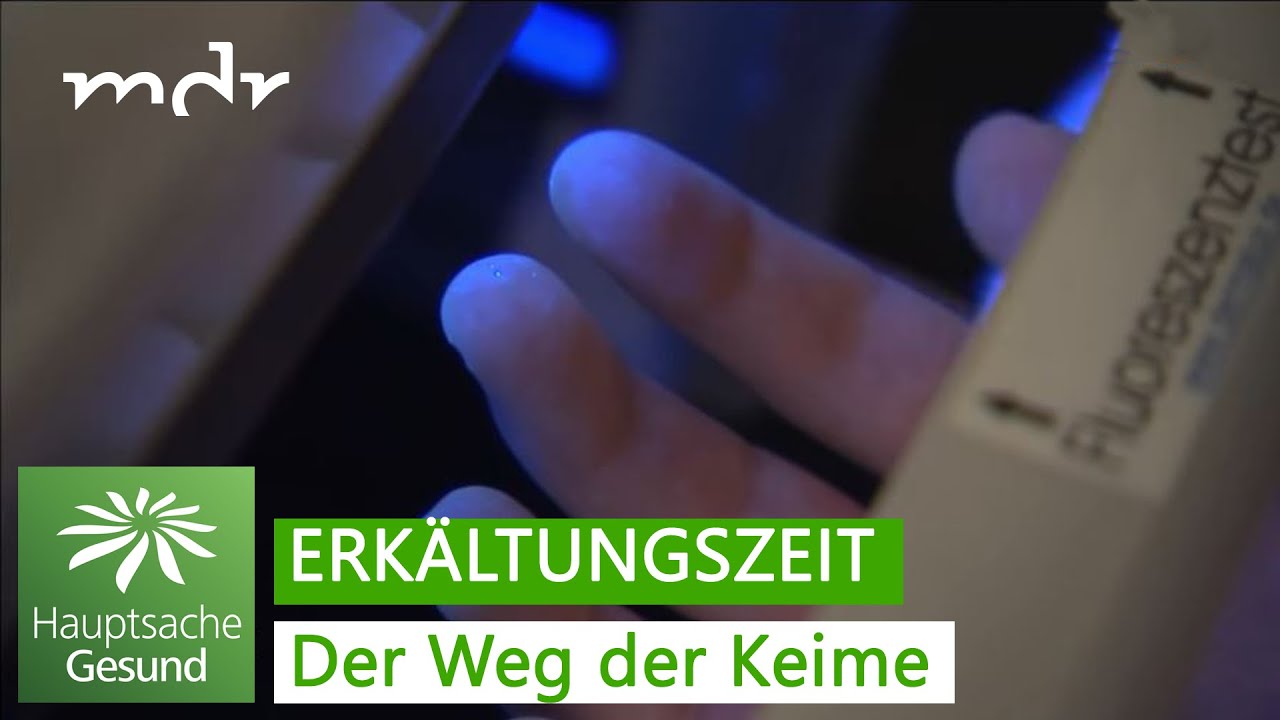 Der Weg der Keime | Hauptsache gesund | MDR
