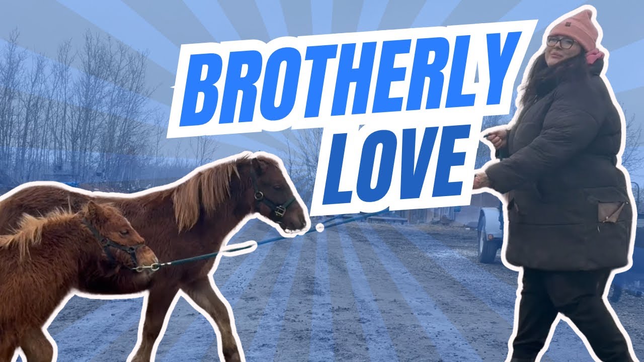 George and Greg are hilarious! Definitely brothers…