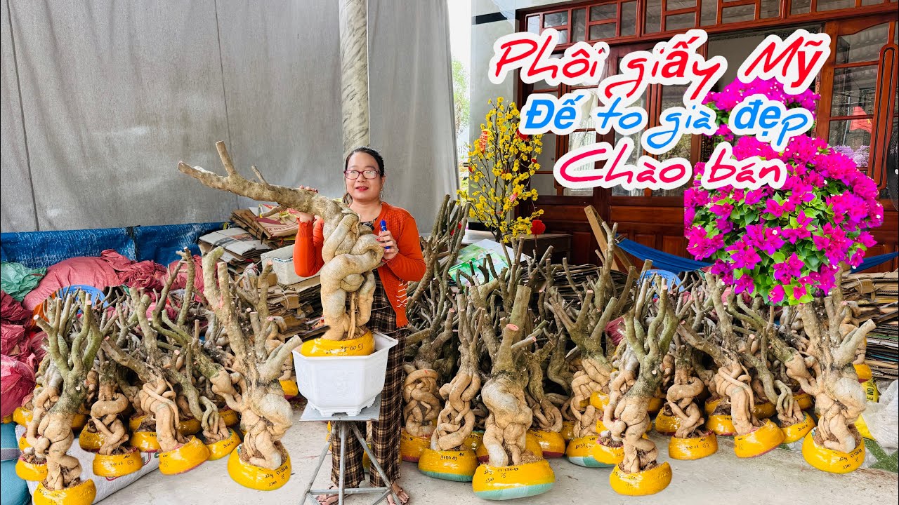 Phôi giấy Mỹ đế to già đẹp chào bán bao phí ship..02/03😘📲 0772.119.600.Quỳnh-Như 