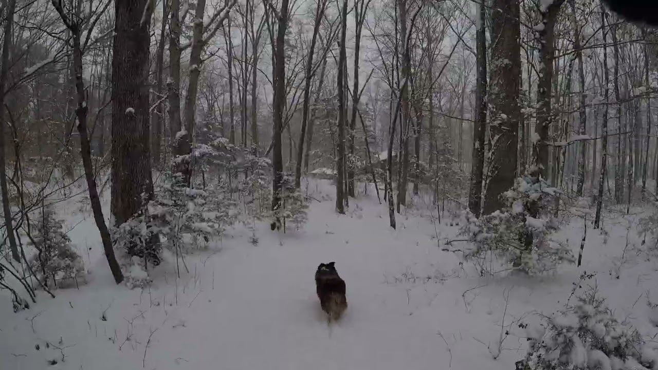 Snow Day 2