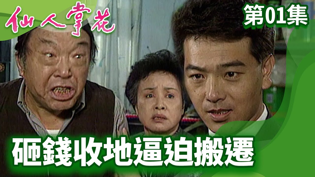 收地遇釘子戶下最後通牒！　董事長「金屋藏嬌」夜不歸宿【仙人掌花 完整版】EP01 張晨光 張玉嬿 席曼寧 焦恩俊 @FlowerTVseries