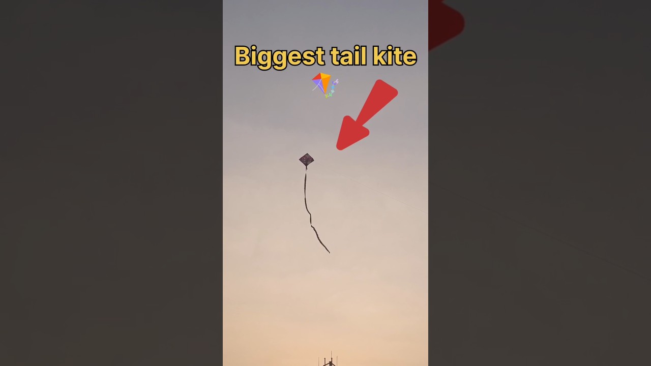 Biggest tail kite 🪁 #shortsfeed #kite #sankranthi #dreaminlife #viral