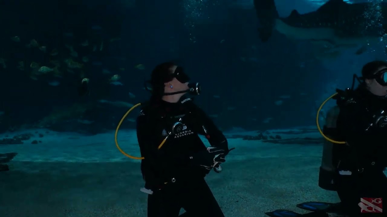 Anna and Jacob dive the Georgia Aquarium